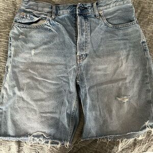 Everlane “The Cheeky Long Short” size 29